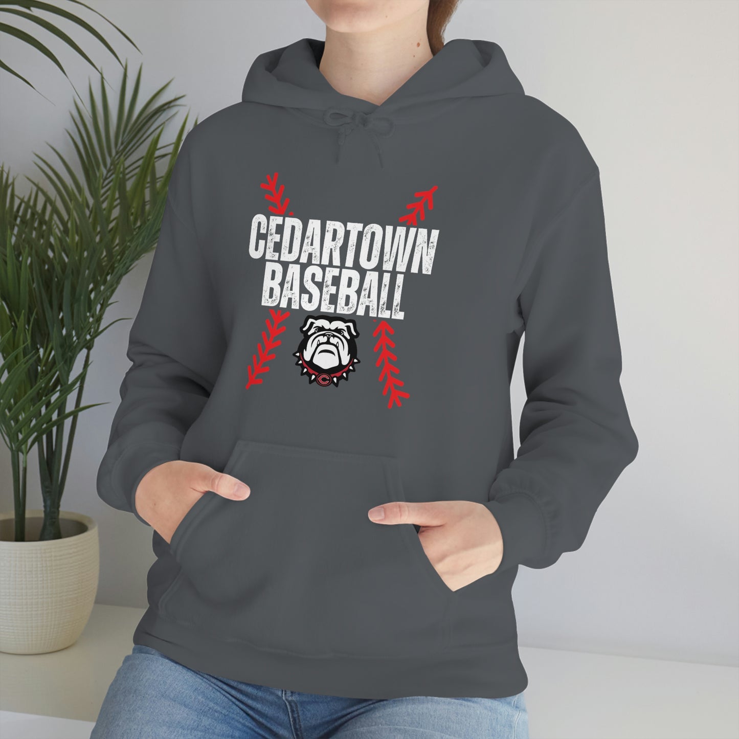 Cedartown Baseball Unisex Heavy Blend Hooded Sweatshirt