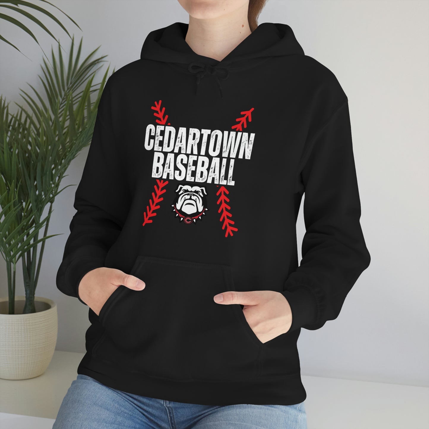 Cedartown Baseball Unisex Heavy Blend Hooded Sweatshirt